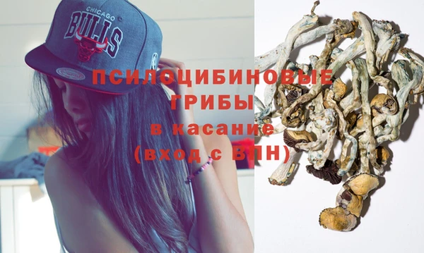 мдпв Волосово