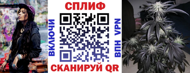 Бошки Шишки сатива Железногорск